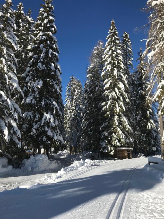 Hotel Holzer