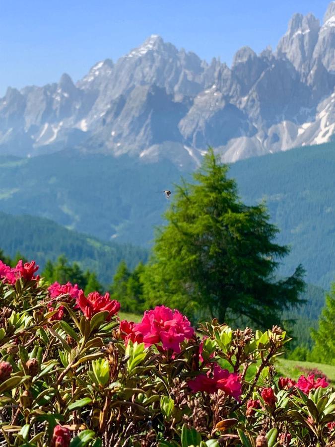 Hotel Holzer 3*